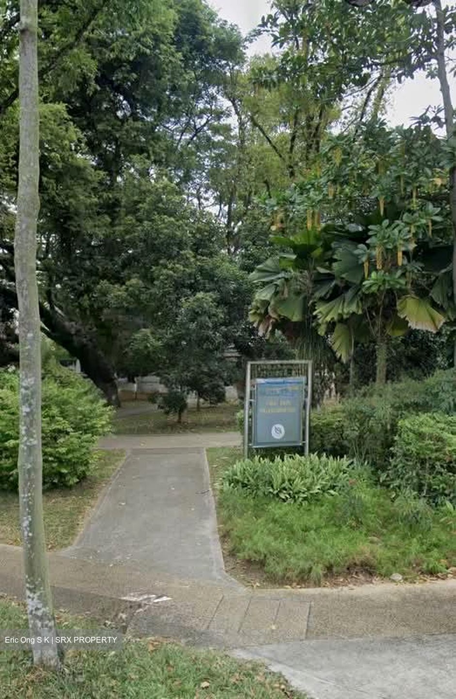 Bamboo Grove Park (D23), Semi-Detached #581577501